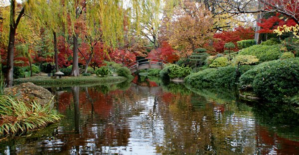 A Look Back At Autumn In The Fort Worth Japanese Garden The