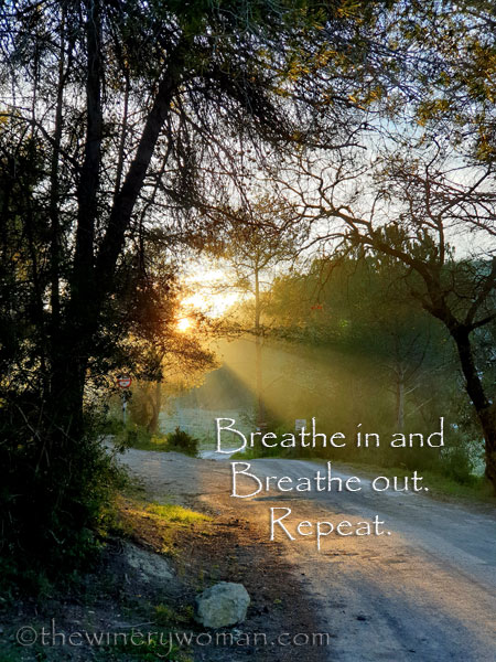 Breathe_In_Breathe_Out_Repeat_3.8.2020_TWW